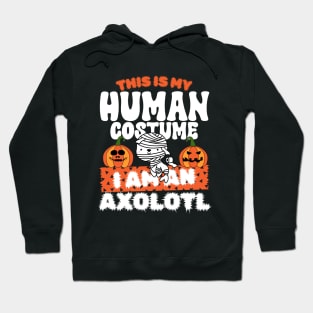 This is my human costume im  an Axolotl Hoodie